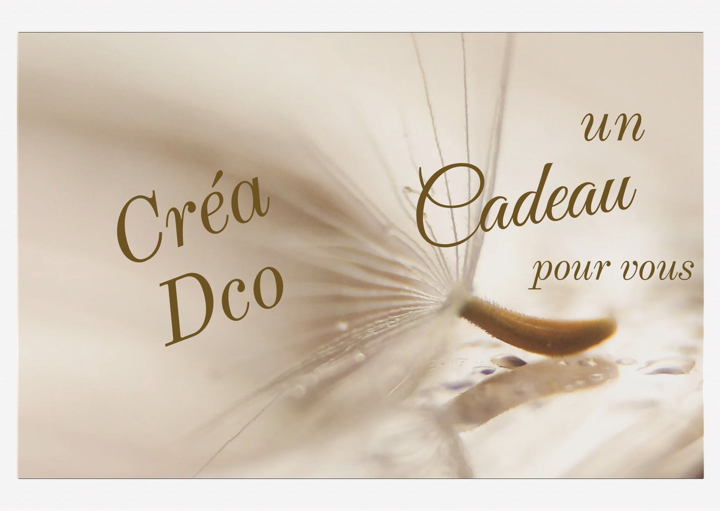 Carte - cadeau Créa Dco - Créa Dco